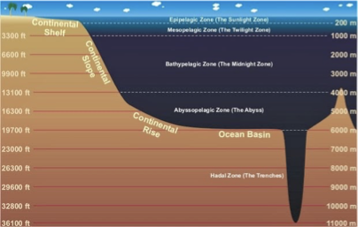 <p>Abyssal Plain</p>
