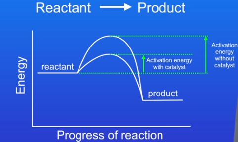 <p>catalysts ↑ ROR of a chem reaction are are not used up during the reaction. they do this by proving an alternative reaction pathway with a lower Ea barrier meaning for the set lower temp more successful collisions take place (∴ ↑ ROR)</p><p>and ROR depends of freq of successful collisions that overcome the Ea barrier</p><p>catalysts allow us to carry out reactions quickly without needing to ↑ temp which saves money</p><p>and they can be reused again and again as they are not used up </p>