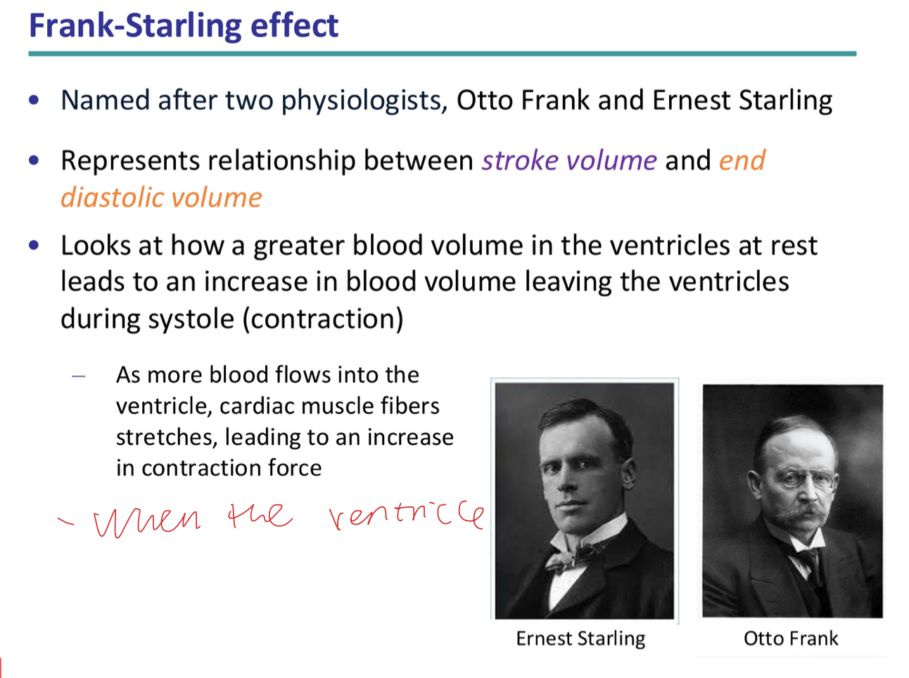 <p>the effect in which a greater blood volume in the ventricles at rest leads to an increase in blood volume leaving the ventricles during systole (contraction). this is because as more blood flows into the ventricle, cardiac muscle fibres stretches, leading to an increase in contraction force</p>