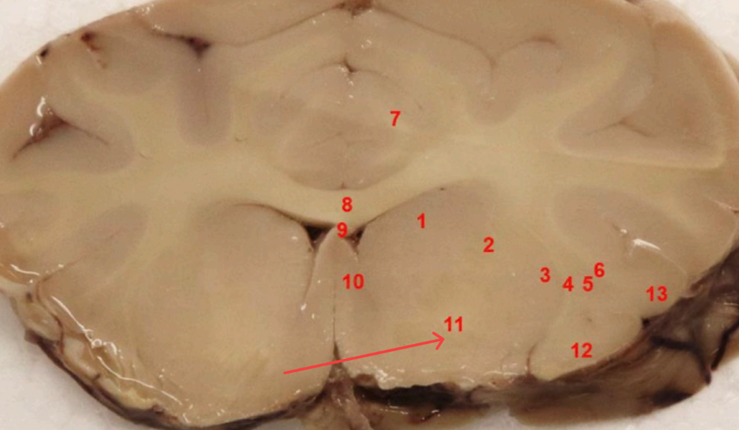 <p>what area is this </p>