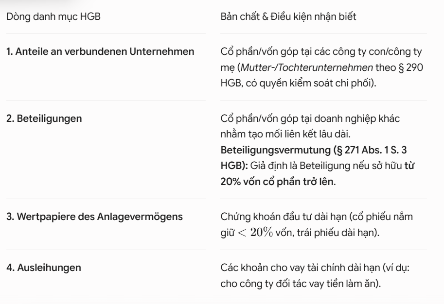 <ol><li><p>Anteile an verbundenen Unternehmen </p></li><li><p>Beteiligungen </p></li><li><p>Wertpapiere des Anlagevermögens</p></li><li><p>Ausleihungen </p></li></ol><p></p>