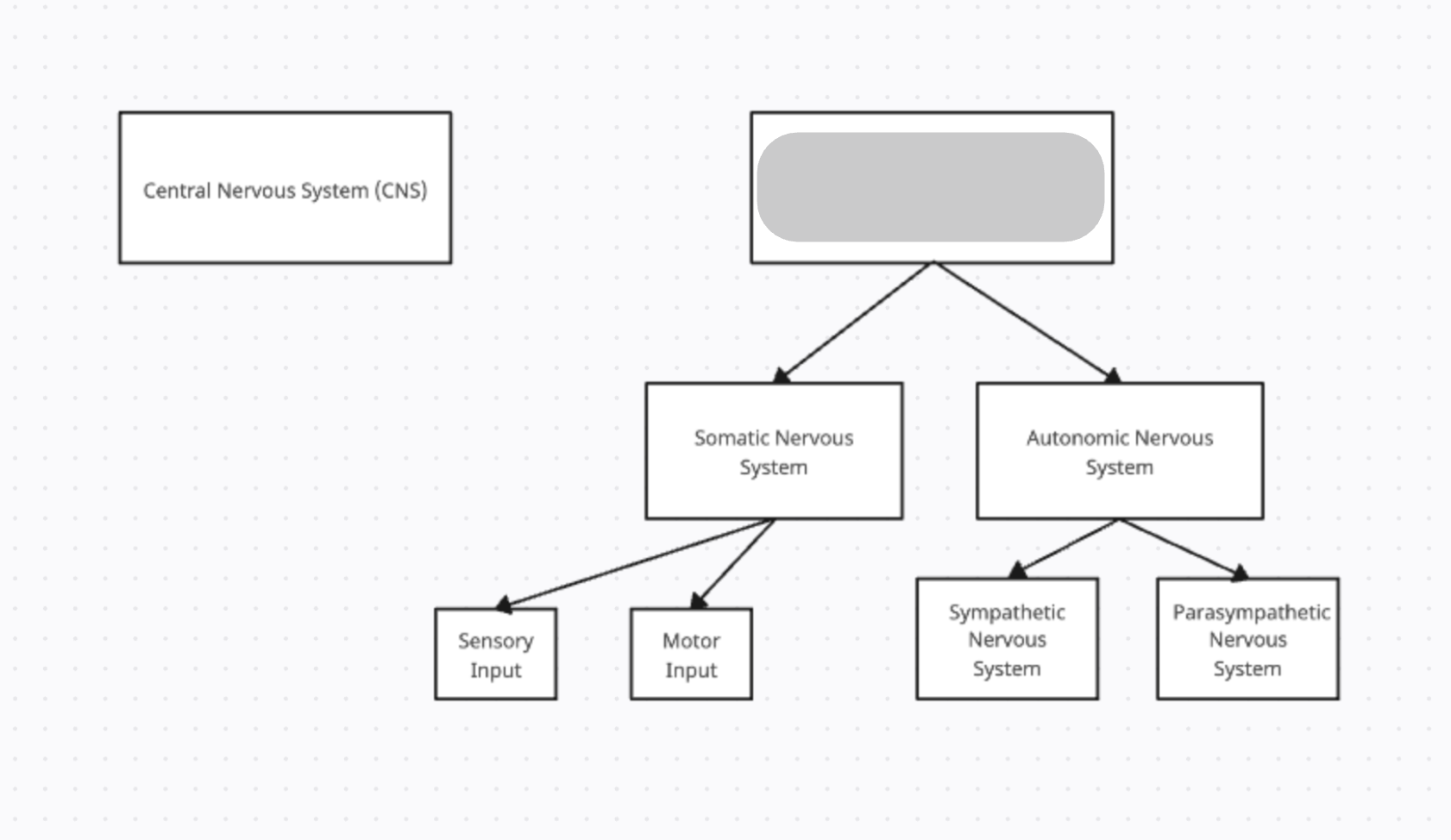 <p>Includes all the nerves outside the brain and spinal cord. Communicates with chemical &amp; electrical messages and connects the CNS to the rest of the body—it is like the highways and back roads that connect cities.</p>