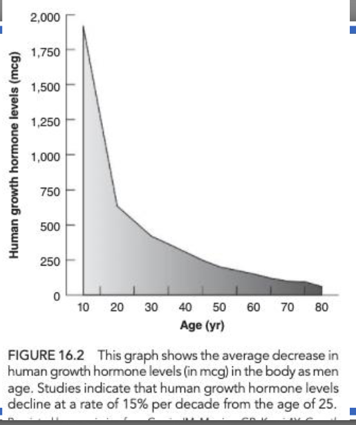<p><span style="">Exercise stimulates GH<br>⢠Response to that GH decreases over time<br>⢠Secreted by the pituitary<br>⢠Stimulates liver and other tissues to make IGF-1:<br> ⢠Promotes bone growth<br> ⢠Promotes muscle growth<br> ⢠Reduces body fat (lipolytic)<br>⢠Detriments: cardiac instability, hypertension, insulin resistance</span></p>