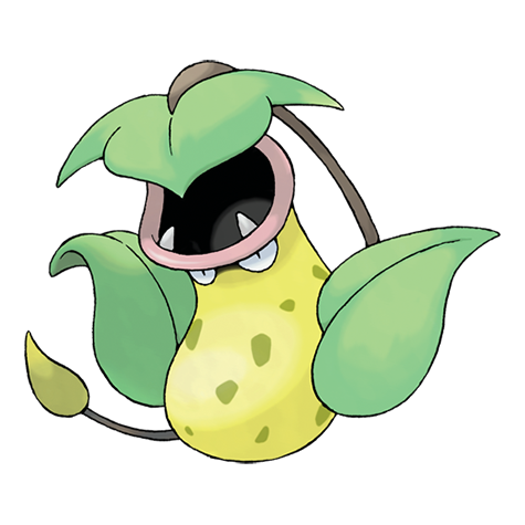 <p>What type is Victreebel?</p>