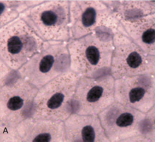 <p>pink image with black dots</p>