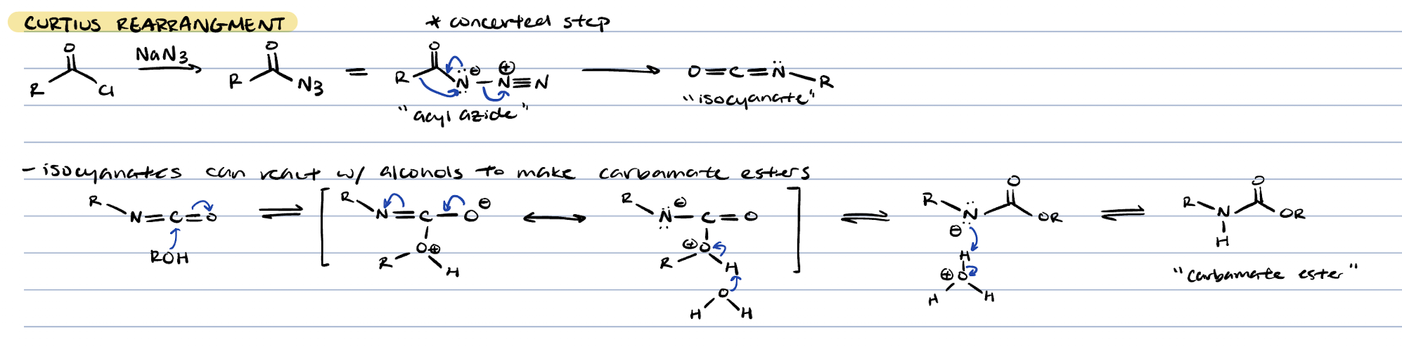 knowt flashcard image