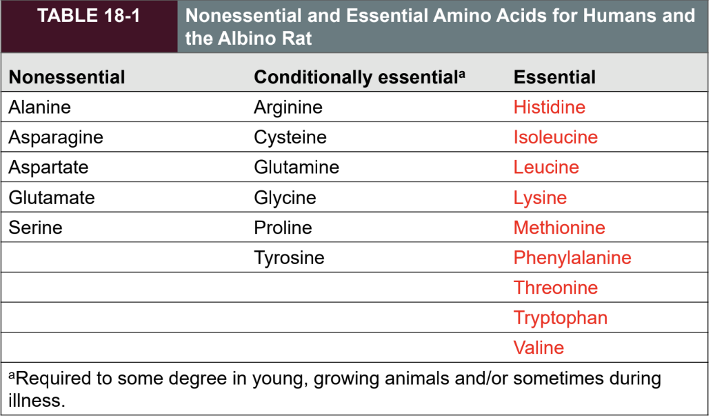 <ul><li><p><strong>Histidine — His/H</strong></p></li><li><p><strong>Isoleucine — Ile/I</strong></p></li><li><p><strong>Leucine — Leu/L</strong></p></li><li><p><strong>Lysine — Lys/K</strong></p></li><li><p><strong>Methionine — Met/M</strong></p></li><li><p><strong>Phenylalanine — Phe/F</strong></p></li><li><p><strong>Threonine — Thr/T</strong></p></li><li><p><strong>Tryptophan — Trp/W</strong></p></li><li><p><strong>Valine — Val/V</strong></p></li></ul><p></p>