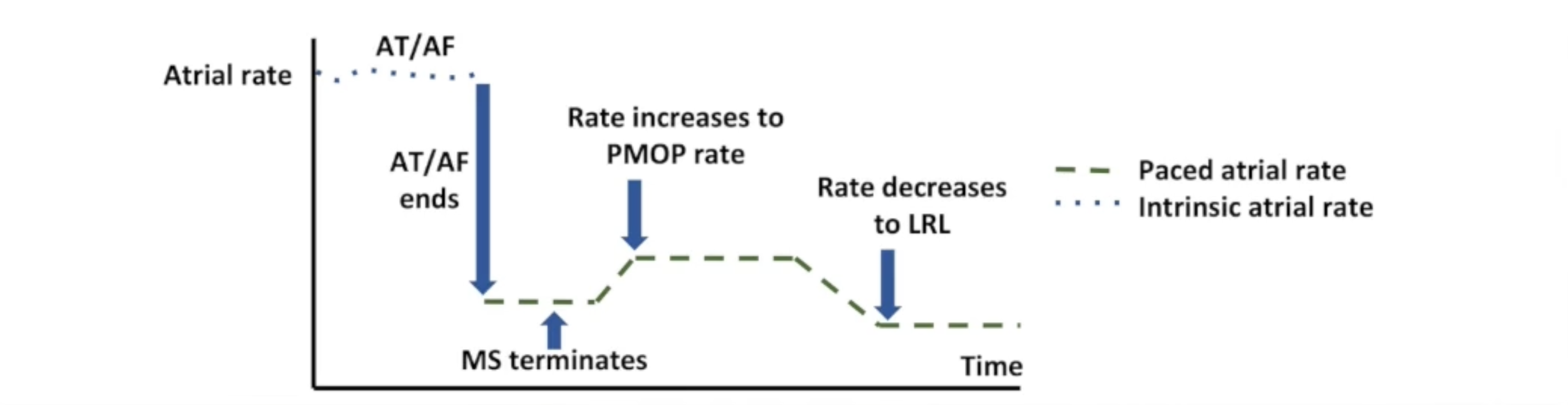 <p>Post-mode switch overdrive pacing</p><ul><li><p>Pacing at elevated rate after termination of mode switch</p></li><li><p>Keeps atria refractory</p></li><li><p>Prevents early recurrence of atrial fibrillation (ERAF)</p></li></ul><p></p>