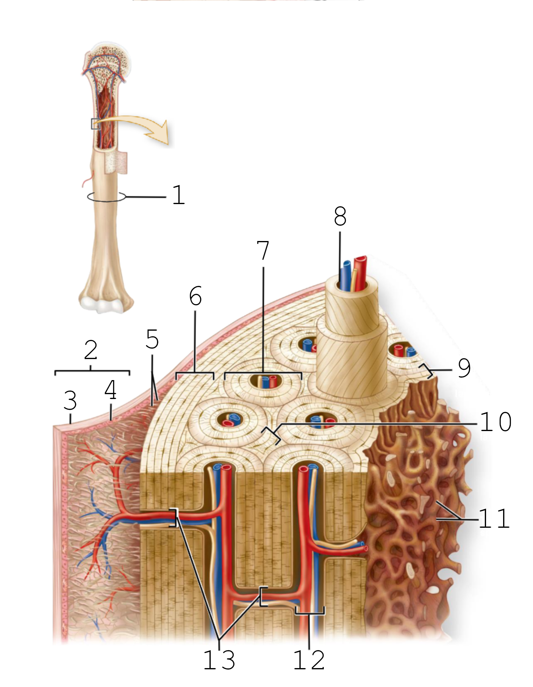 <p>1</p>