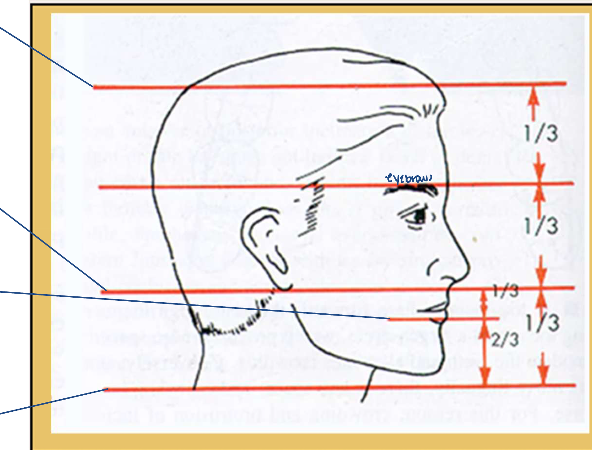 <p>what landmarks are at the four dark blue lines?</p>