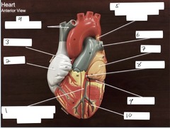 <p>1</p>