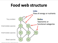 <p>Species with no prey.</p>