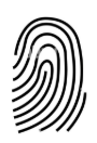 <p>What is this fingerprint?</p>