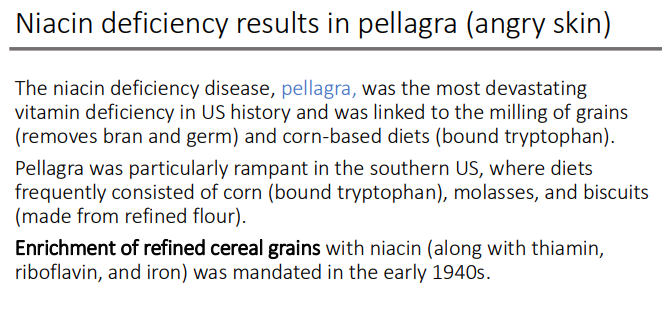 <p>southern US</p><ul><li><p>Enrichment of refined cereal grains with niacin (along with thiamin, riboflavin, and iron) was mandated in the early 1940s.</p></li></ul><p></p>