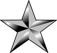 <p>Brigadier General</p>