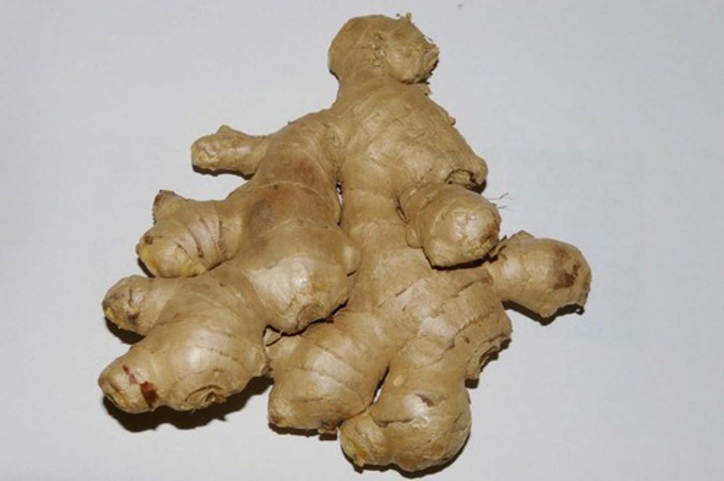 <p>le gingembre</p>
