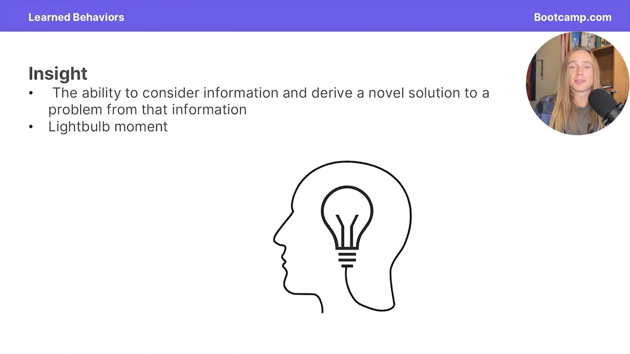 <p>The ability to consider informationa and derive a novel solution from that problem </p><p>“lightlub moment”</p>