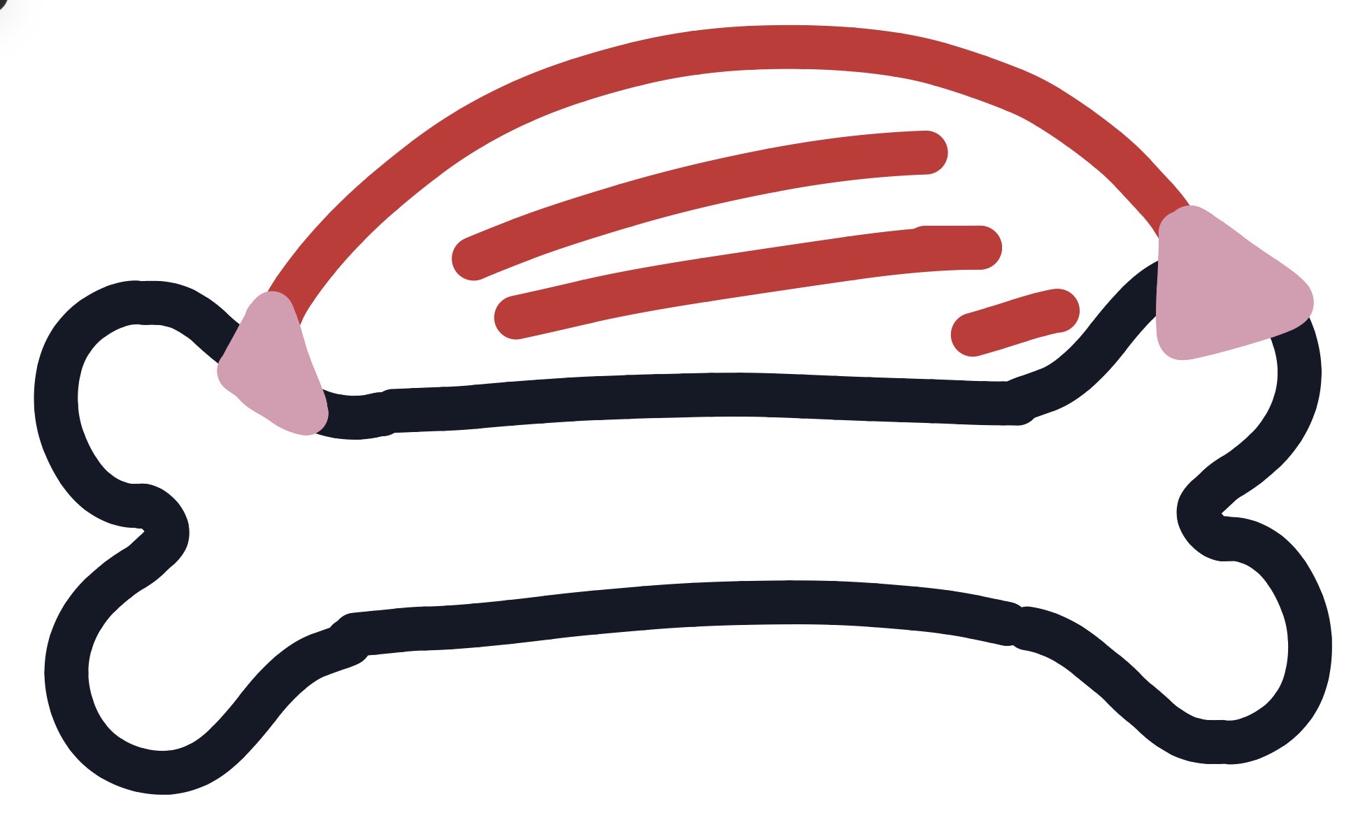 <p><strong>This is a…</strong></p>