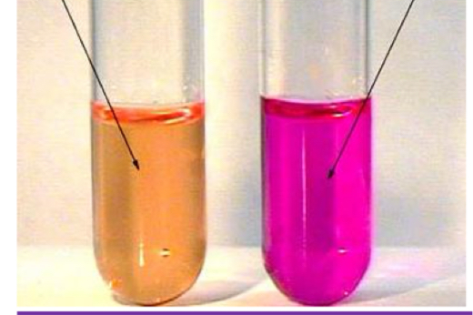 <p>What type of test is been shown in the image? </p>