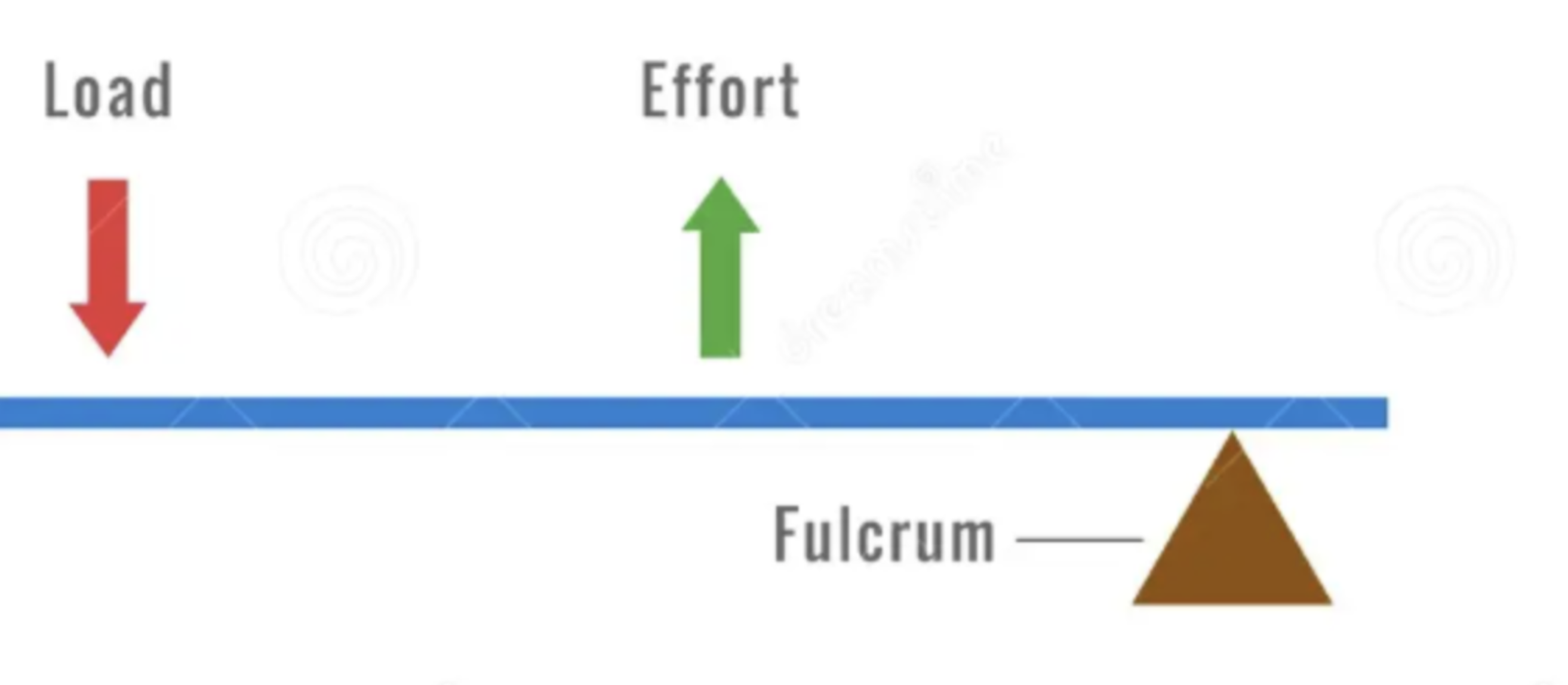 <ul><li><p>Load down, effort up</p></li><li><p>Used in: Fishing rod</p></li><li><p><strong>Effort always larger then load in third order lever</strong></p></li></ul><p></p>