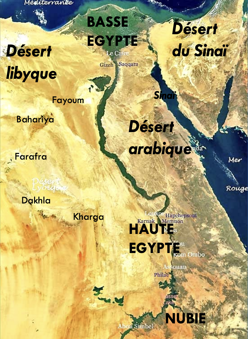 <p>L’Égypte se situe <u>en Afrique</u>, à la<u> frontière de l’Asie</u>, au contact de l<u>a mer Méditerranée</u> et de <u>la mer Rouge.</u> navigation vers le IIIe millénaire av. J.-C., mer Rouge - accessible, mer Méditerranée - marecageuse (болотистое)</p><ul><li><p>désert Libyque à l’ouest,</p></li><li><p>désert Arabique à l’est,</p></li><li><p>désert du Sinaï au nord-est.</p></li></ul><p>Нил - центральный элемент, впадает в Méditerranée и формирует дельту нила (зеленый треугольник сверху, самые плодородные земли)</p><p>Le Nil est vital : il fournit l’eau et permet les récoltes grâce à la crue (наводнение) annuelle. Les pluies équatoriales et les pluies du printemps gonflent le Nil Bleu et le Nil Blanc ; <u>la crue</u> atteint l’Égypte <u>fin juillet.</u></p><p>→ Elle inonde les terres pendant environ trois mois, dépose le limon fertile, puis l’agriculture commence.</p><p><u>Cette fonction vitale explique la divinisation du Nil :</u></p><p>→ Hâpy, dieu-Nil aux formes de femme et nourricières, symbolise la fertilité.</p><p></p><p>• Haute-Égypte : la vallée étroite du Nil (au Sud),</p><p>• Basse-Égypte : le delta (au Nord).</p><p></p><p>Le désert - ressource économique majeure</p><p>• granites dans le Sud,</p><p>• cuivre dans le sud du Sinaï,</p><p>• or en Nubie,</p><p>• pierres fines (turquoises, améthystes, etc.).</p>
