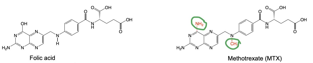 <ul><li><p>Changes → increase potency of binding to DHFR </p></li><li><p>Considered an “anchor drug” for RA</p></li></ul><p></p>