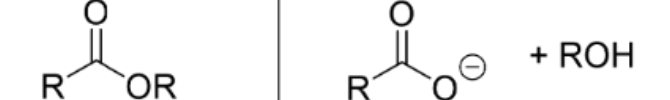 <p>Name the reactants</p>