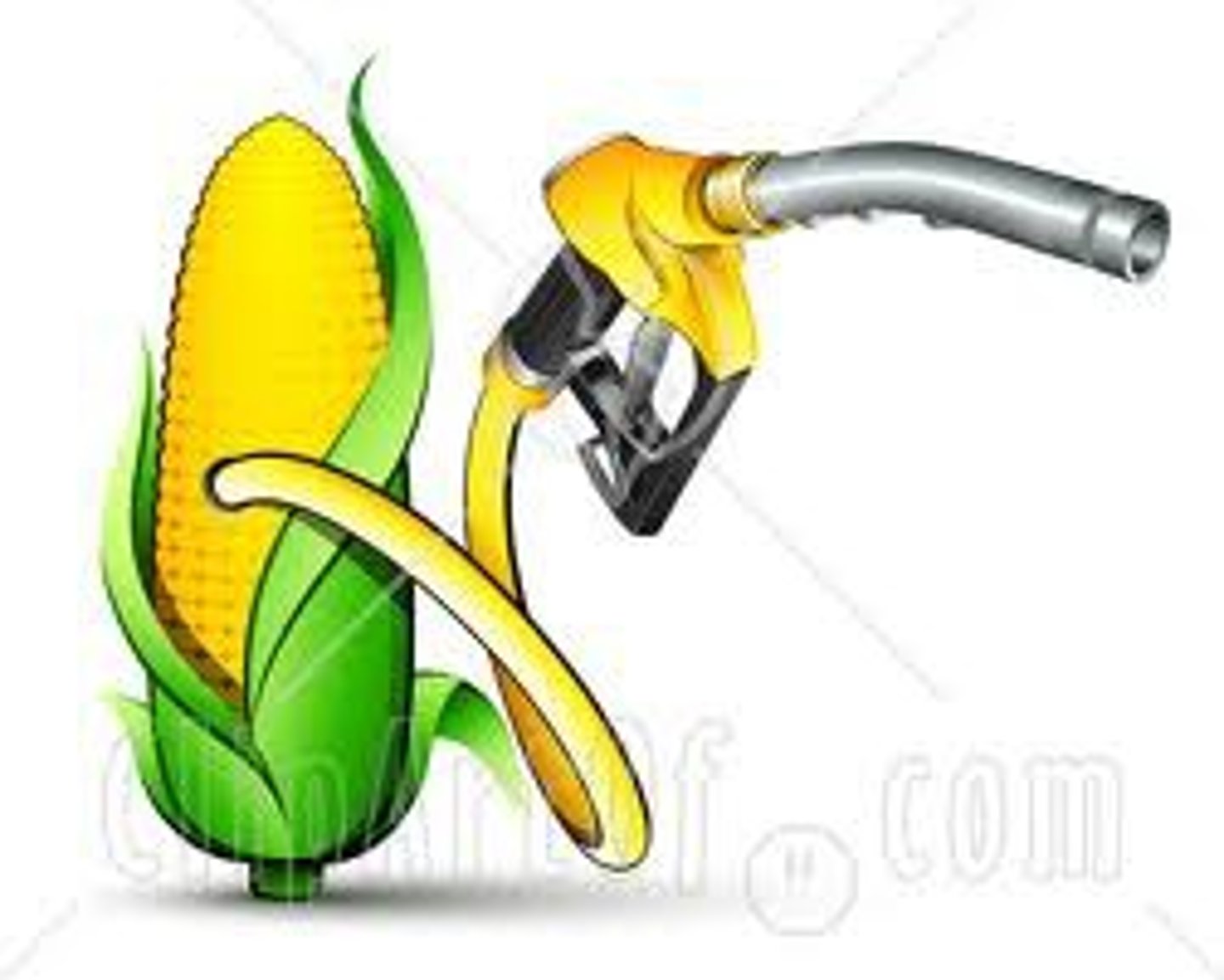 <p>Fossil fuel substitutes that can be made from a range of agri-crop materials such as oilseeds, wheat, corn and sugar</p>