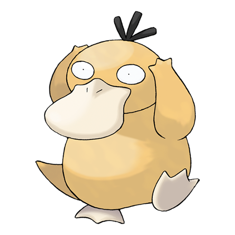 <p>What type is Psyduck?</p>