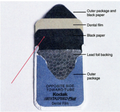 <p>• Film wrapper</p><p>• Saliva proof</p><p>• White side toward the x-ray source</p><p>• May be a single or double film pack</p><p>• The Dot</p><p>Determines where the film is oriented in the mouth</p><p>• Black paper wrapper</p><p>Protects the film from light that may leak in</p><p>• Lead foil</p><p>• Placed away from the radiation source</p><p>• Prevents film fogging from radiation scatter back from the patient.</p>