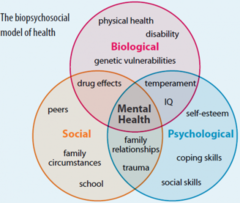 <p>the differing complimentary views, from biological to psychological to social-cultural, for analyzing any given phenomenon.</p>