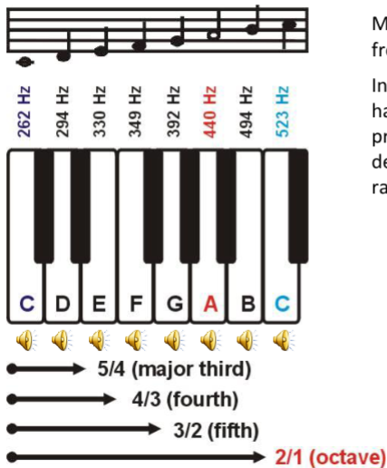 <ul><li><p>Musical pitch relates to specific frequencies</p></li><li><p>In Western classical music, harmony is defined through progression of intervals, each defined by their own frequency ratios</p></li></ul><p></p>