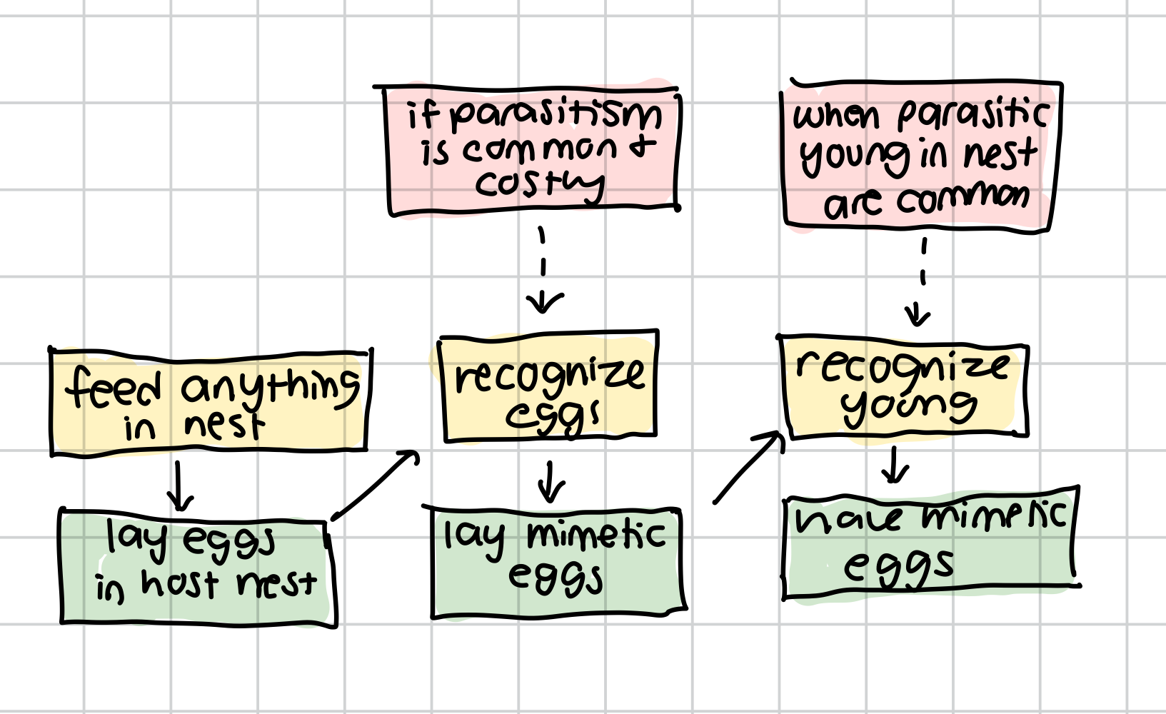 knowt flashcard image