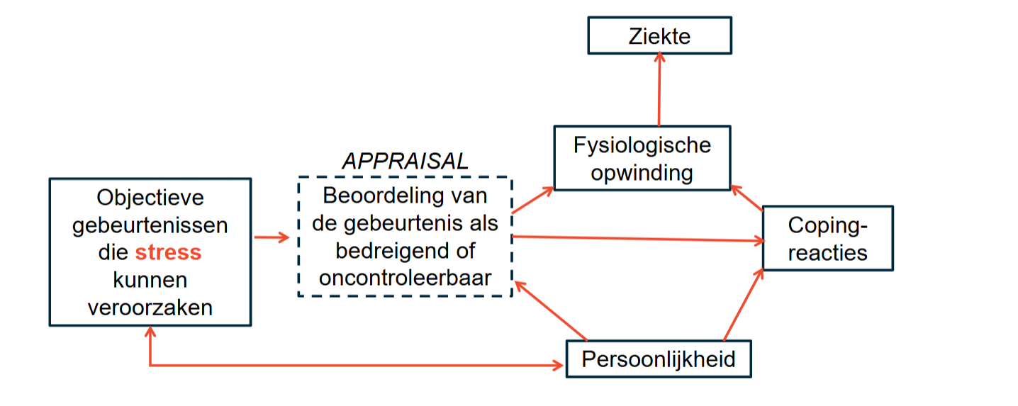 <p>⢠3 effecten van persoonlijkheid</p><p>- invloed op coping</p><p>- invloed op interpretatie van gebeurtenis</p><p>- invloed op de gebeurtenis (cfr. interacties tussen ph en omgeving)</p><p></p>