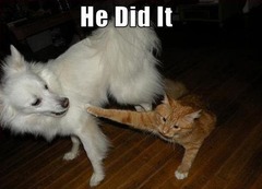 <p>đùn đẩy trách nhiệm</p><p>(Don't try to ___! It's your fault, and everybody knows it.)</p>
