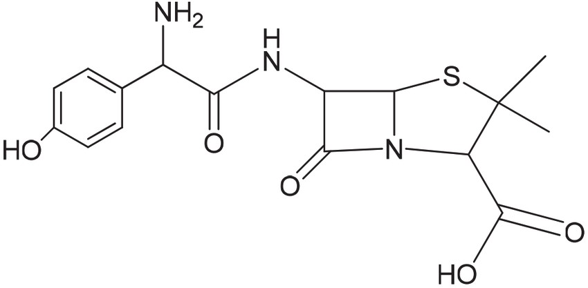<p>Antibiotics are commonly used in medicine to treat bacterial infections. One common antibiotic is amoxicillin (similar to penicillin). The (short-hand) chemical structure of amoxicillin is shown below.&nbsp;</p><p><strong>Which functional group is NOT present in amoxicillin?</strong></p>