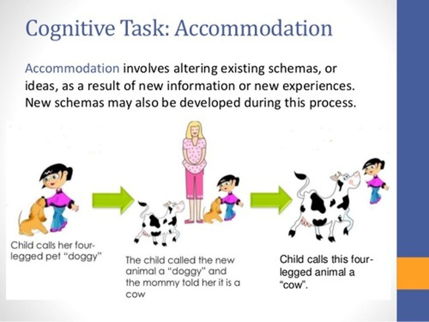 <p>- Changing what you know to understand something new.</p><p>- The new information does not fit, so the child changes her understanding.</p><p>- Change what you know to understand something new.</p><p>Example: A toddler knows only four-legged cats. She sees a raccoon and calls it a "kitty." Her parent corrects her. The toddler adjusts her schema to understand that not all small, four-legged furry animals are cats</p>