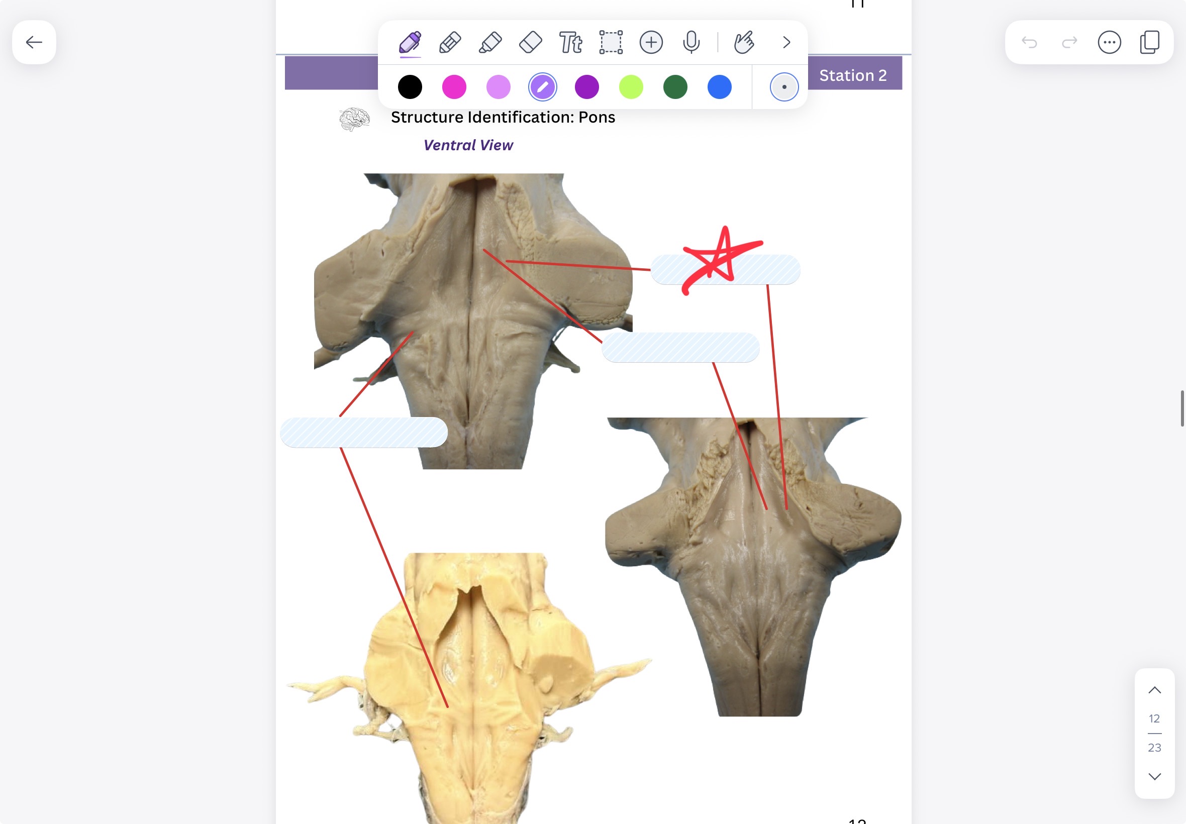 knowt flashcard image