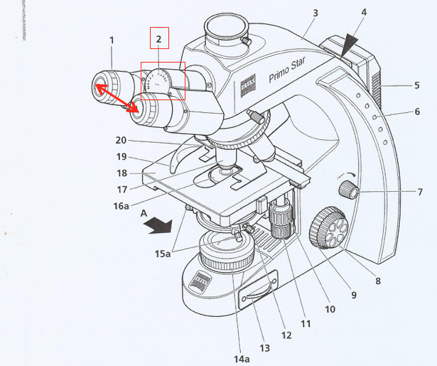 <p>What part of the microscope is this + what does it control?</p>