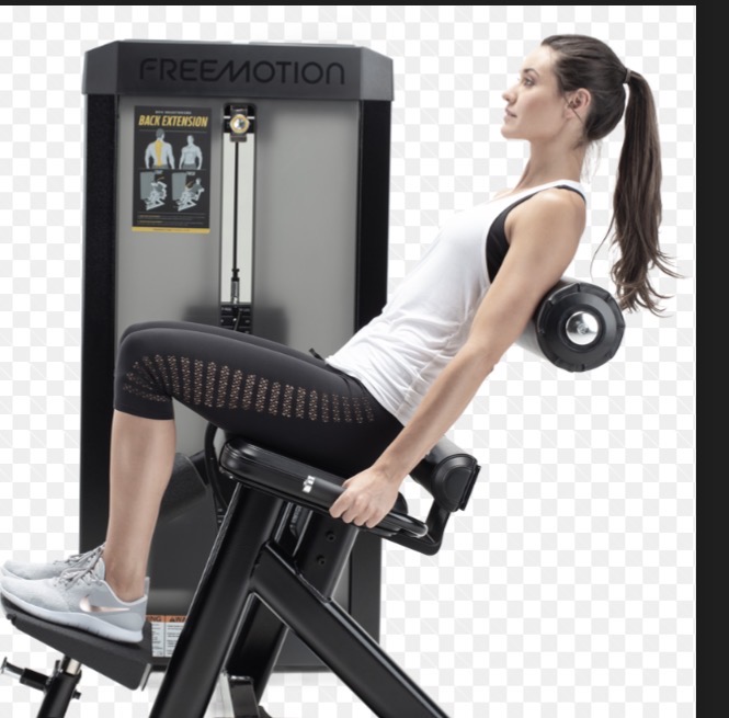 <p>Back extension machine</p>