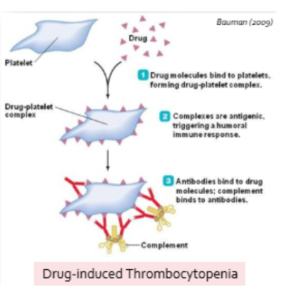 <ul><li><p><span style="background-color: transparent; font-family: "Times New Roman", serif;">When mutations is host genes result in the expression of new proteins on cell surface (cancers)</span></p></li><li><p><span style="background-color: transparent; font-family: "Times New Roman", serif;">When self-antigens become altered by attachment of small molecules (like drugs or toxins) effectively rendering them foreign in the eyes of the adaptive response</span></p><ul><li><p><span style="background-color: transparent; font-family: "Times New Roman", serif;">Small nodules (haptens) are incapable of evoking an immune response on their own</span></p></li></ul></li><li><p><span style="background-color: transparent; font-family: "Times New Roman", serif;">Tissue trauma may cause release of self-antigens that were previously sequestered from the immune system</span></p><ul><li><p><span style="background-color: transparent; font-family: "Times New Roman", serif;">Ex. release of spermatozoa during vasectomy or testicular trauma, exposure of cornea or lens antigens following eye/contact lens trauma, exposure of cardiac muscle following MI</span></p></li></ul></li></ul><p></p>