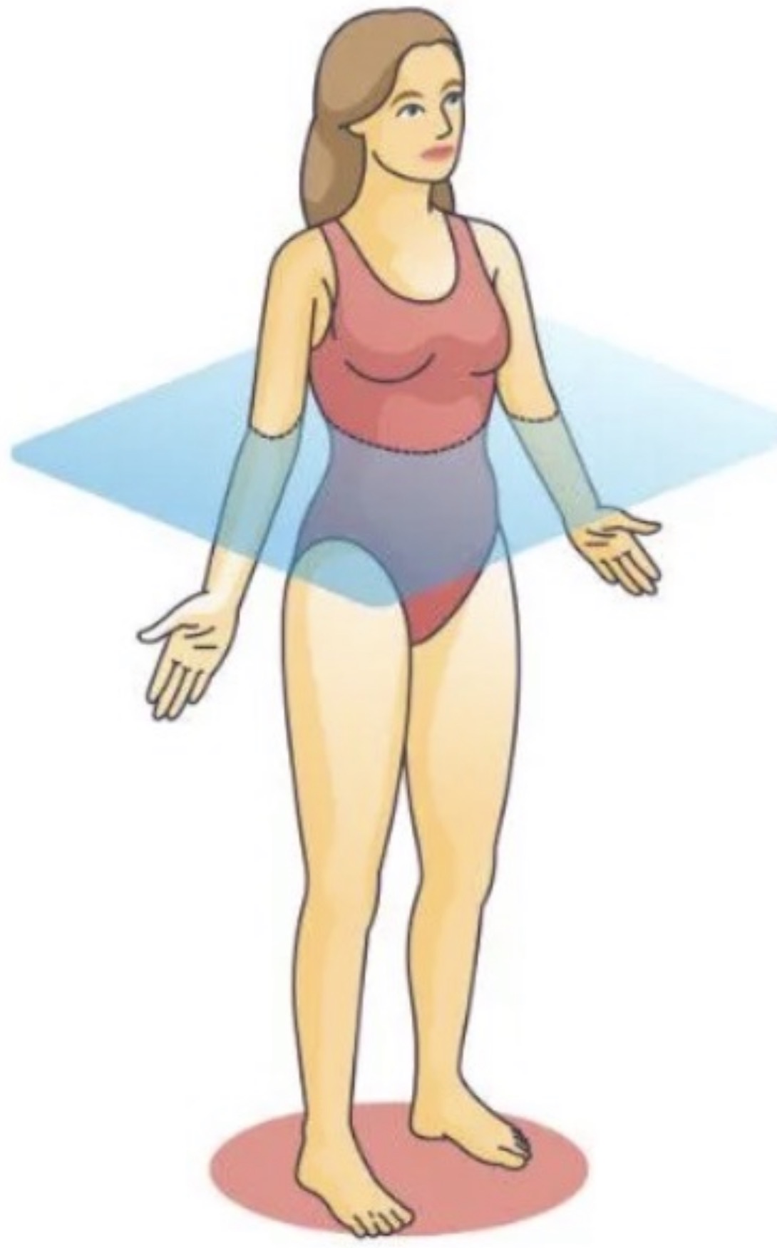<p>Which anatomical plane is this?</p>