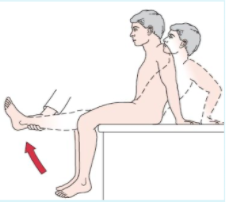 <p>Seated passive knee extension; trunk extension to relieve tension indicates hamstring tightness.</p>