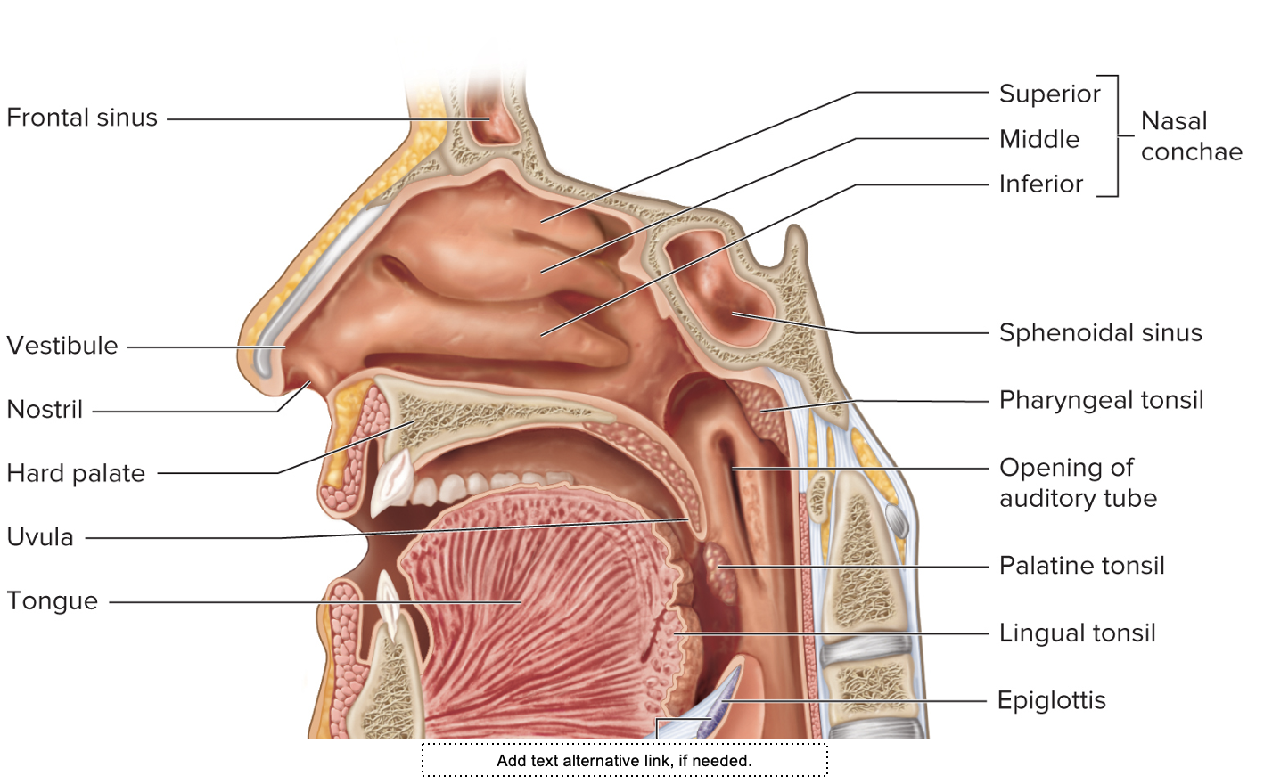 <p>Which system is this </p>