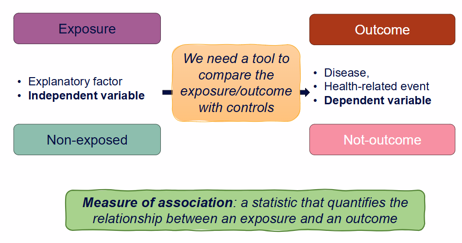 <p>What is a measure of association?</p>