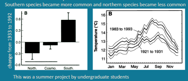 <p>Resurveying old plots from 1933 in 1992 (60 years later)</p><p>– Pacific Grove rocky intertidal</p><p>Southern species became more common and northern species became less common</p>