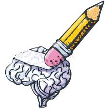 <p>Short-term Memory (STM)</p>