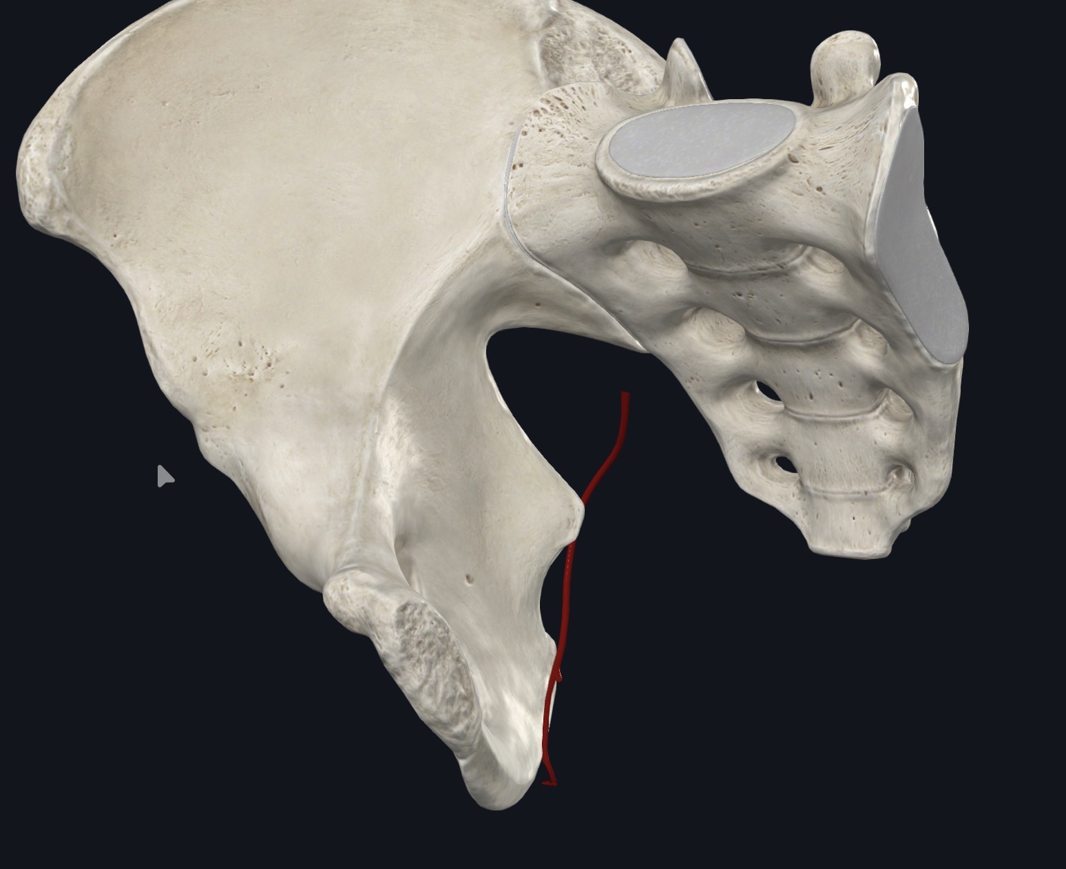 <p>¿Qué es esto?</p>