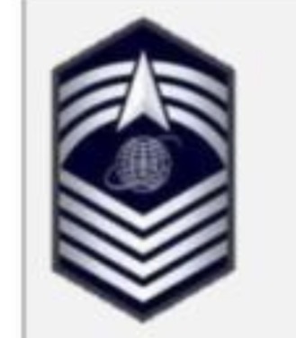 <p>USSF Enlisted Ranks</p>