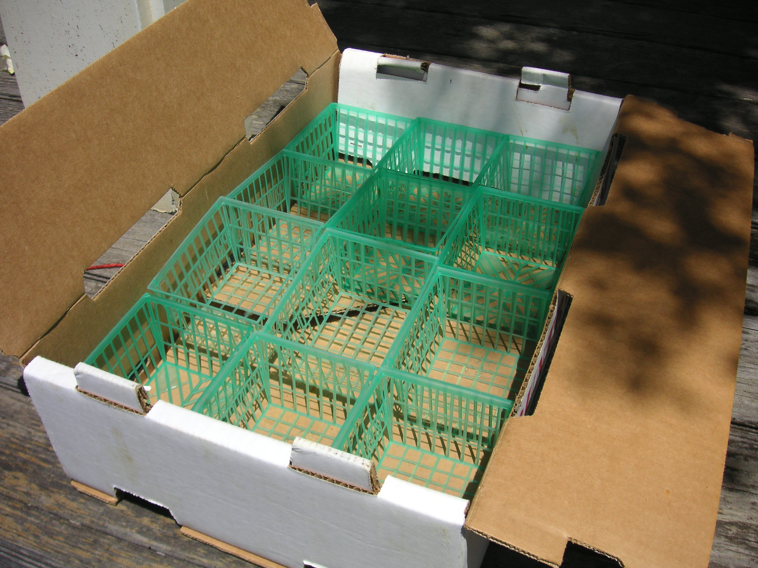 <p>punnet</p>